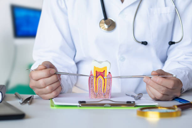 Best Weekend Emergency Dentist in Elleale, ND
